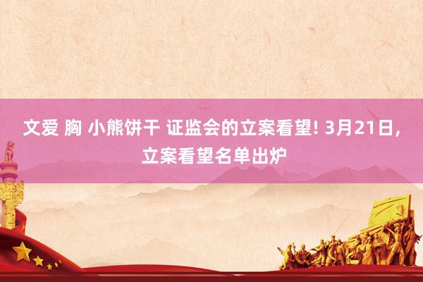 文爱 胸 小熊饼干 证监会的立案看望! 3月21日， 立案看望名单出炉