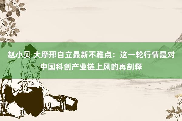 赵小贝 大摩邢自立最新不雅点：这一轮行情是对中国科创产业链上风的再剖释