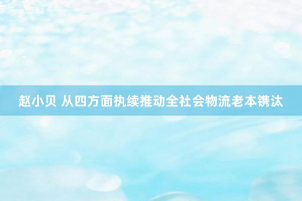 赵小贝 从四方面执续推动全社会物流老本镌汰