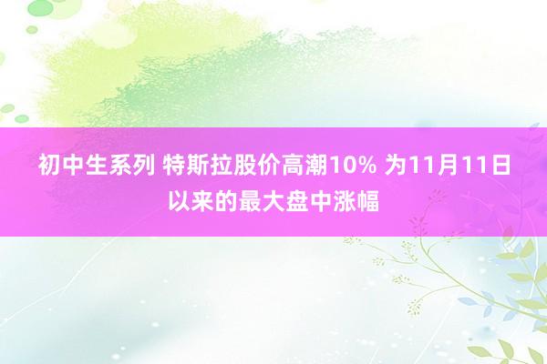 初中生系列 特斯拉股价高潮10% 为11月11日以来的最大盘中涨幅
