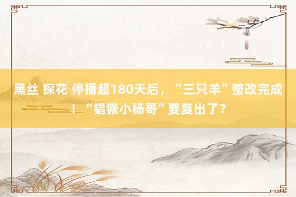 黑丝 探花 停播超180天后，“三只羊”整改完成！“猖獗小杨哥”要复出了？