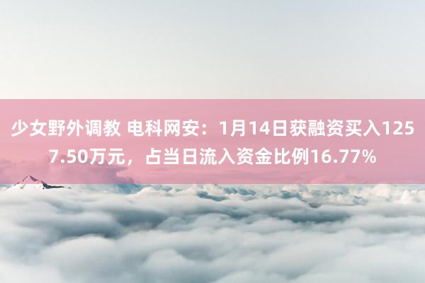 少女野外调教 电科网安：1月14日获融资买入1257.50万元，占当日流入资金比例16.77%