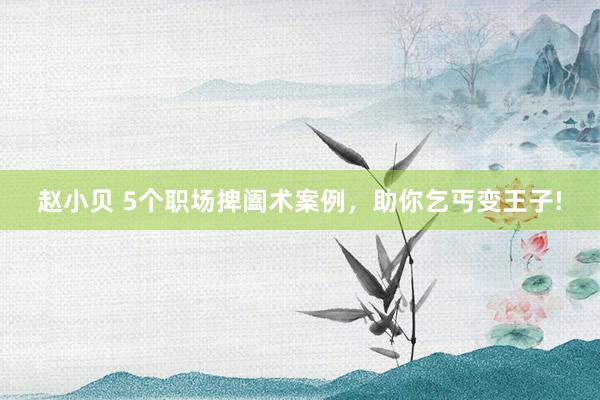 赵小贝 5个职场捭阖术案例，助你乞丐变王子!