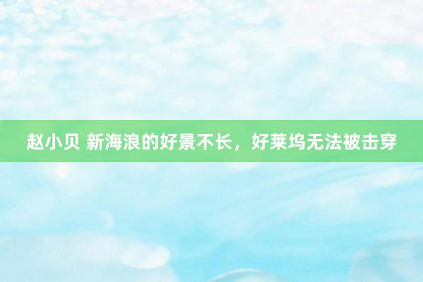 赵小贝 新海浪的好景不长，好莱坞无法被击穿