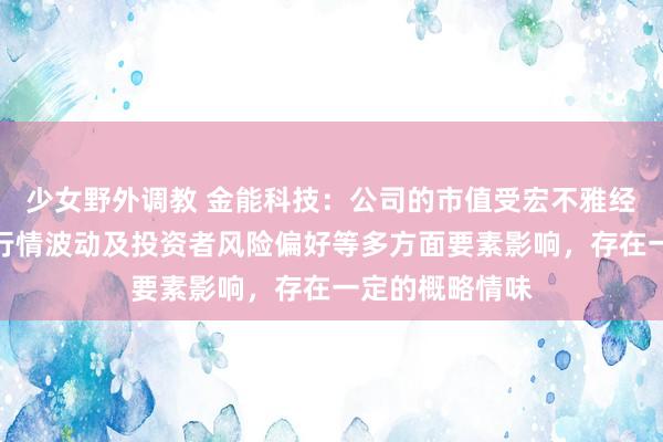 少女野外调教 金能科技：公司的市值受宏不雅经济、成本商场行情波动及投资者风险偏好等多方面要素影响，存在一定的概略情味