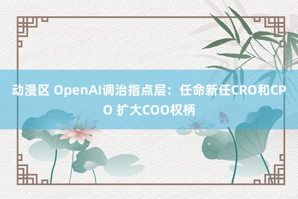 动漫区 OpenAI调治指点层：任命新任CRO和CPO 扩大COO权柄