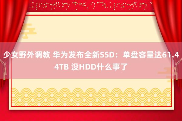 少女野外调教 华为发布全新SSD：单盘容量达61.44TB 没HDD什么事了