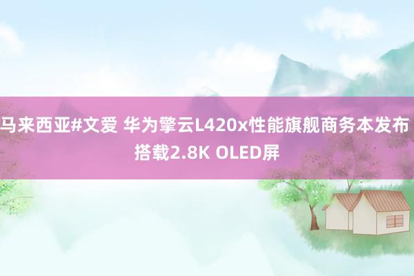 马来西亚#文爱 华为擎云L420x性能旗舰商务本发布 搭载2.8K OLED屏