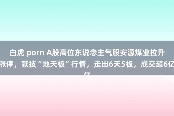 白虎 porn A股高位东说念主气股安源煤业拉升涨停，献技“地天板”行情，走出6天5板，成交超6亿