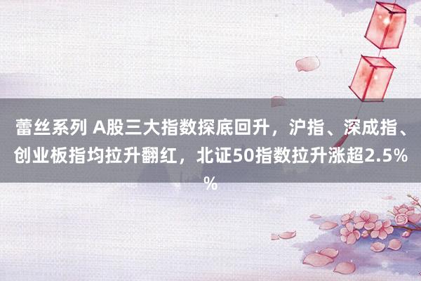 蕾丝系列 A股三大指数探底回升，沪指、深成指、创业板指均拉升翻红，北证50指数拉升涨超2.5%