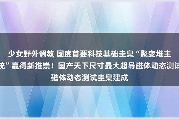 少女野外调教 国度首要科技基础圭臬“聚变堆主机关节系统”赢得新推崇！国产天下尺寸最大超导磁体动态测试圭臬建成