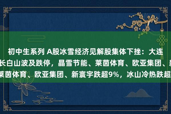 初中生系列 A股冰雪经济见解股集体下挫：大连圣亚、武商集团跌停，长白山波及跌停，晶雪节能、莱茵体育、欧亚集团、新寰宇跌超9%，冰山冷热跌超8%