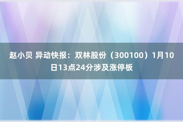 赵小贝 异动快报：双林股份（300100）1月10日13点24分涉及涨停板