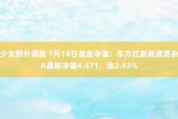 少女野外调教 1月14日基金净值：东方红新能源混杂A最新净值4.471，涨2.43%