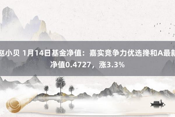 赵小贝 1月14日基金净值：嘉实竞争力优选搀和A最新净值0.4727，涨3.3%