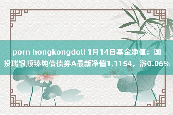 porn hongkongdoll 1月14日基金净值：国投瑞银顺臻纯债债券A最新净值1.1154，涨0.06%