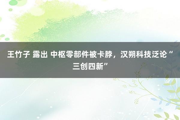 王竹子 露出 中枢零部件被卡脖，汉朔科技泛论“三创四新”