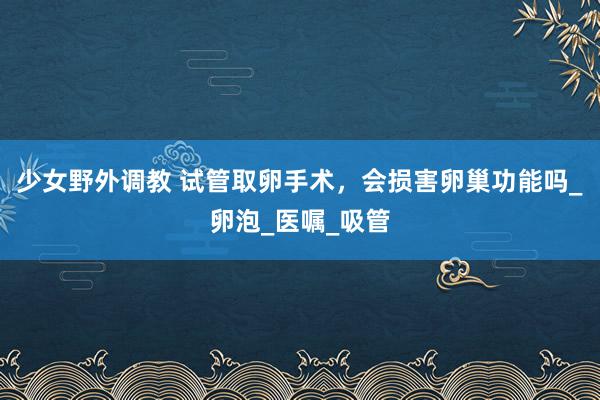 少女野外调教 试管取卵手术，会损害卵巢功能吗_卵泡_医嘱_吸管