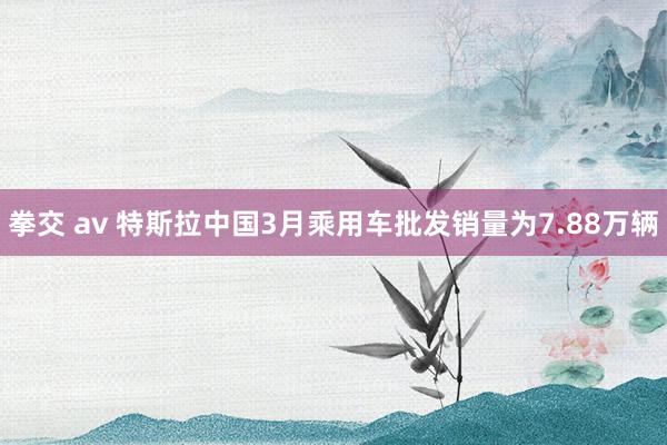 拳交 av 特斯拉中国3月乘用车批发销量为7.88万辆