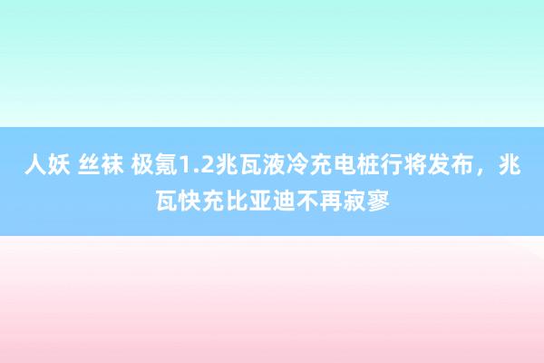 人妖 丝袜 极氪1.2兆瓦液冷充电桩行将发布，兆瓦快充比亚迪不再寂寥