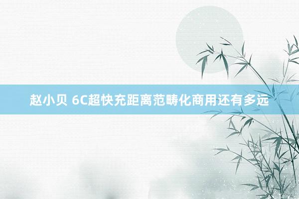 赵小贝 6C超快充距离范畴化商用还有多远