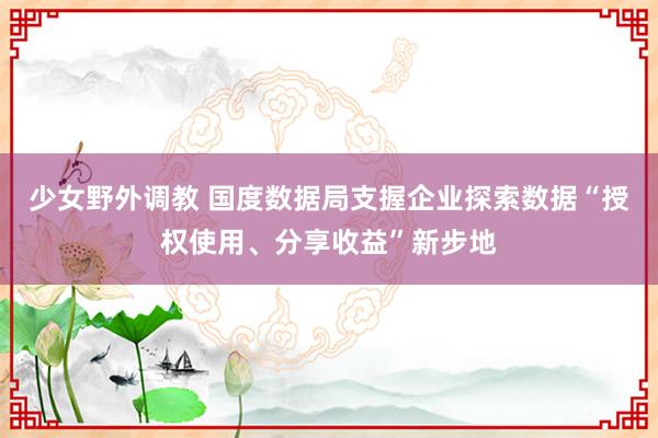 少女野外调教 国度数据局支握企业探索数据“授权使用、分享收益”新步地