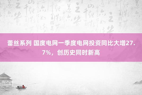 蕾丝系列 国度电网一季度电网投资同比大增27.7%，创历史同时新高