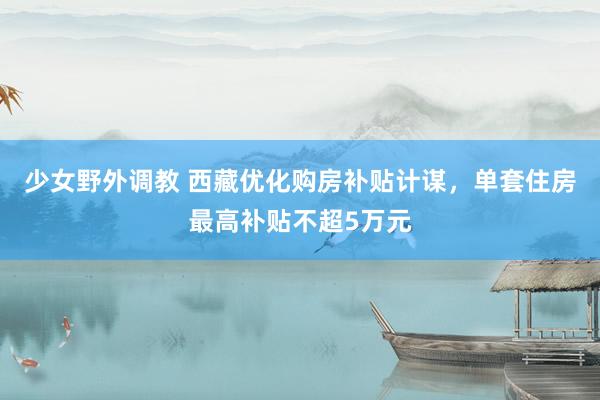 少女野外调教 西藏优化购房补贴计谋，单套住房最高补贴不超5万元