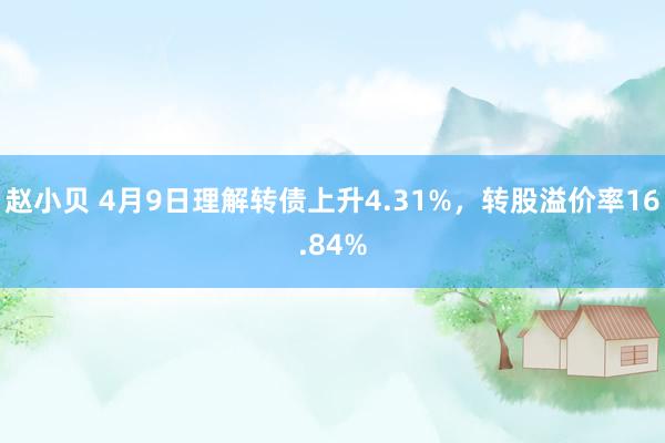 赵小贝 4月9日理解转债上升4.31%，转股溢价率16.84%