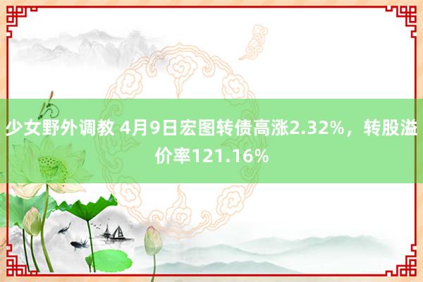 少女野外调教 4月9日宏图转债高涨2.32%，转股溢价率121.16%