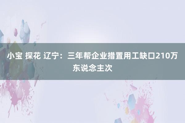 小宝 探花 辽宁：三年帮企业措置用工缺口210万东说念主次