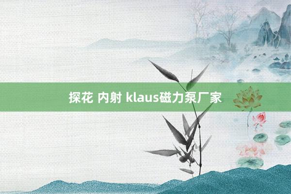 探花 内射 klaus磁力泵厂家
