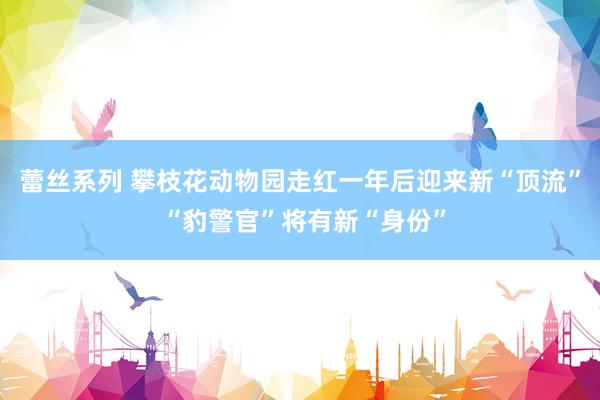 蕾丝系列 攀枝花动物园走红一年后迎来新“顶流” “豹警官”将有新“身份”