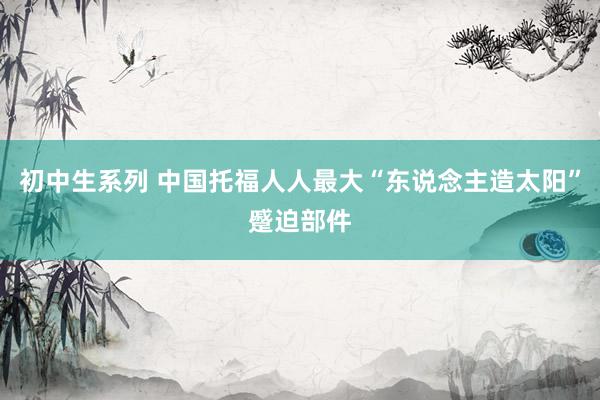 初中生系列 中国托福人人最大“东说念主造太阳”蹙迫部件