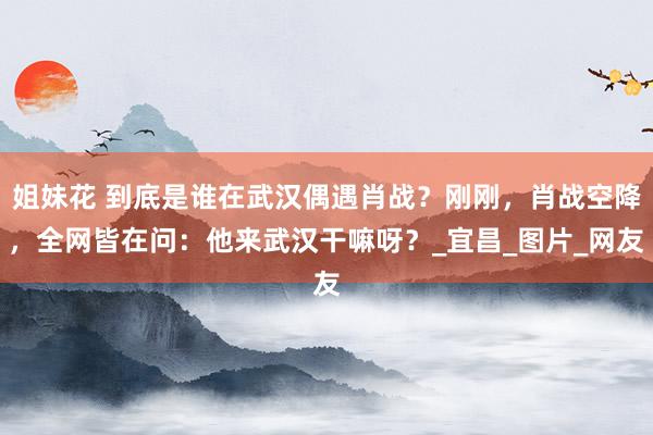姐妹花 到底是谁在武汉偶遇肖战？刚刚，肖战空降，全网皆在问：他来武汉干嘛呀？_宜昌_图片_网友