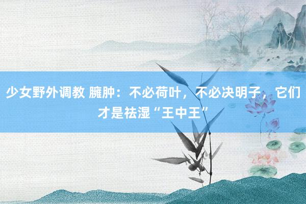 少女野外调教 臃肿：不必荷叶，不必决明子，它们才是祛湿“王中王”
