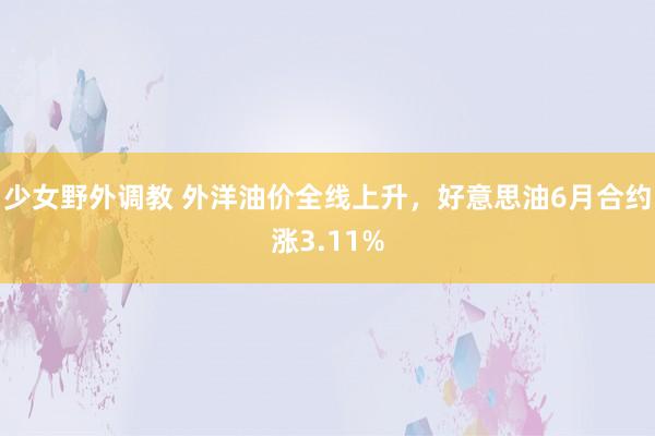 少女野外调教 外洋油价全线上升，好意思油6月合约涨3.11%