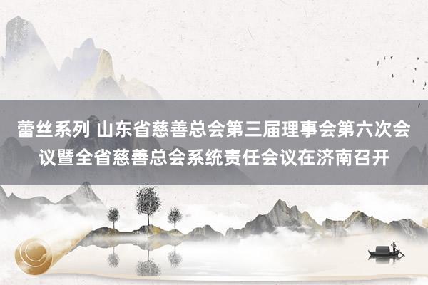 蕾丝系列 山东省慈善总会第三届理事会第六次会议暨全省慈善总会系统责任会议在济南召开
