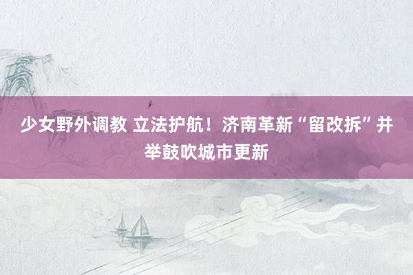 少女野外调教 立法护航！济南革新“留改拆”并举鼓吹城市更新
