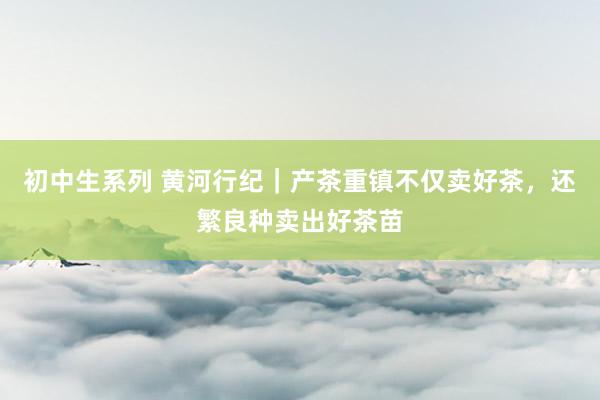 初中生系列 黄河行纪｜产茶重镇不仅卖好茶，还繁良种卖出好茶苗