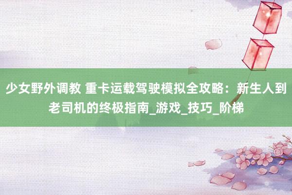 少女野外调教 重卡运载驾驶模拟全攻略：新生人到老司机的终极指南_游戏_技巧_阶梯
