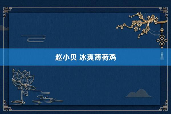 赵小贝 冰爽薄荷鸡