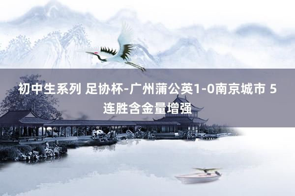 初中生系列 足协杯-广州蒲公英1-0南京城市 5连胜含金量增强