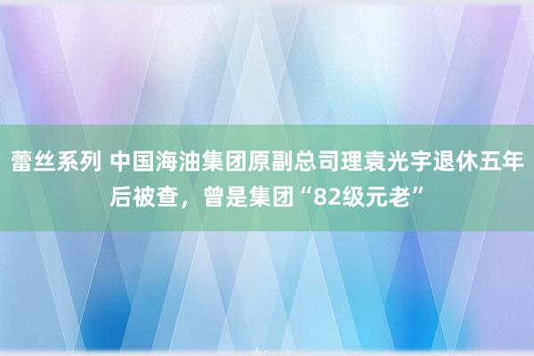 蕾丝系列 中国海油集团原副总司理袁光宇退休五年后被查，曾是集团“82级元老”