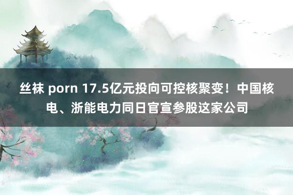 丝袜 porn 17.5亿元投向可控核聚变！中国核电、浙能电力同日官宣参股这家公司