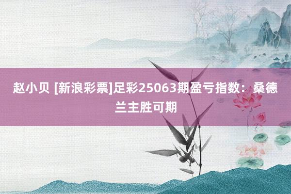 赵小贝 [新浪彩票]足彩25063期盈亏指数：桑德兰主胜可期