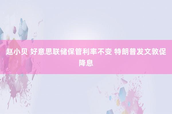 赵小贝 好意思联储保管利率不变 特朗普发文敦促降息