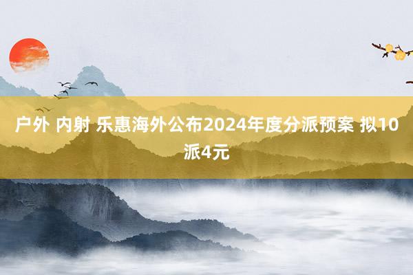 户外 内射 乐惠海外公布2024年度分派预案 拟10派4元