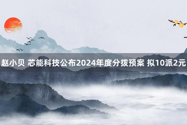 赵小贝 芯能科技公布2024年度分拨预案 拟10派2元