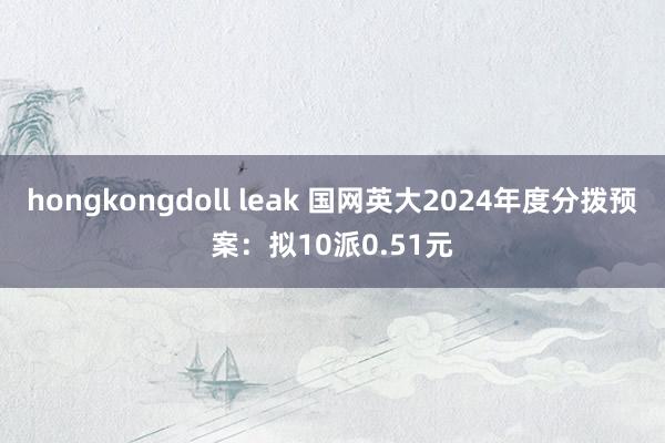 hongkongdoll leak 国网英大2024年度分拨预案：拟10派0.51元